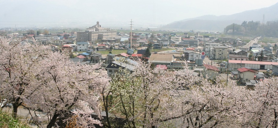 平成20年4月撮影市街地全景写真（第一中学校より）